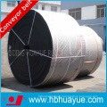 Acid Alkali Resistant Conveyor Belt (B400-2200)